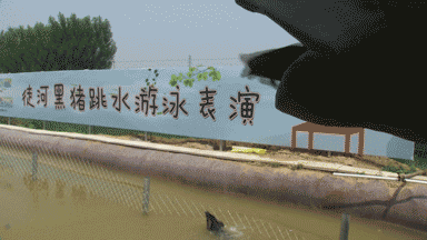 图片13-3.png