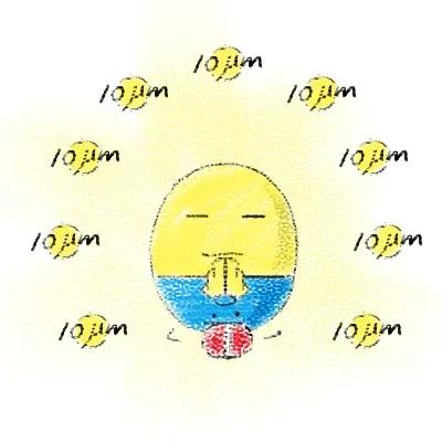 图片6-1.png